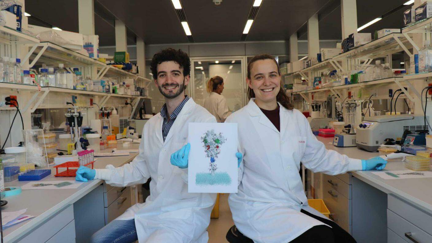 Filippo Bianchini e Virginia Crivelli, dottorandi presso l'IRB nel laboratorio del professor Davide Robbiani. In rosso, blu e verde tre dei punti freddi sullo spike del virus  