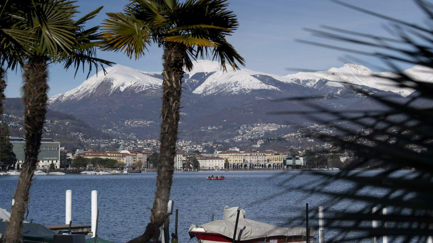 Ticino palme sole montagne neve Paradiso