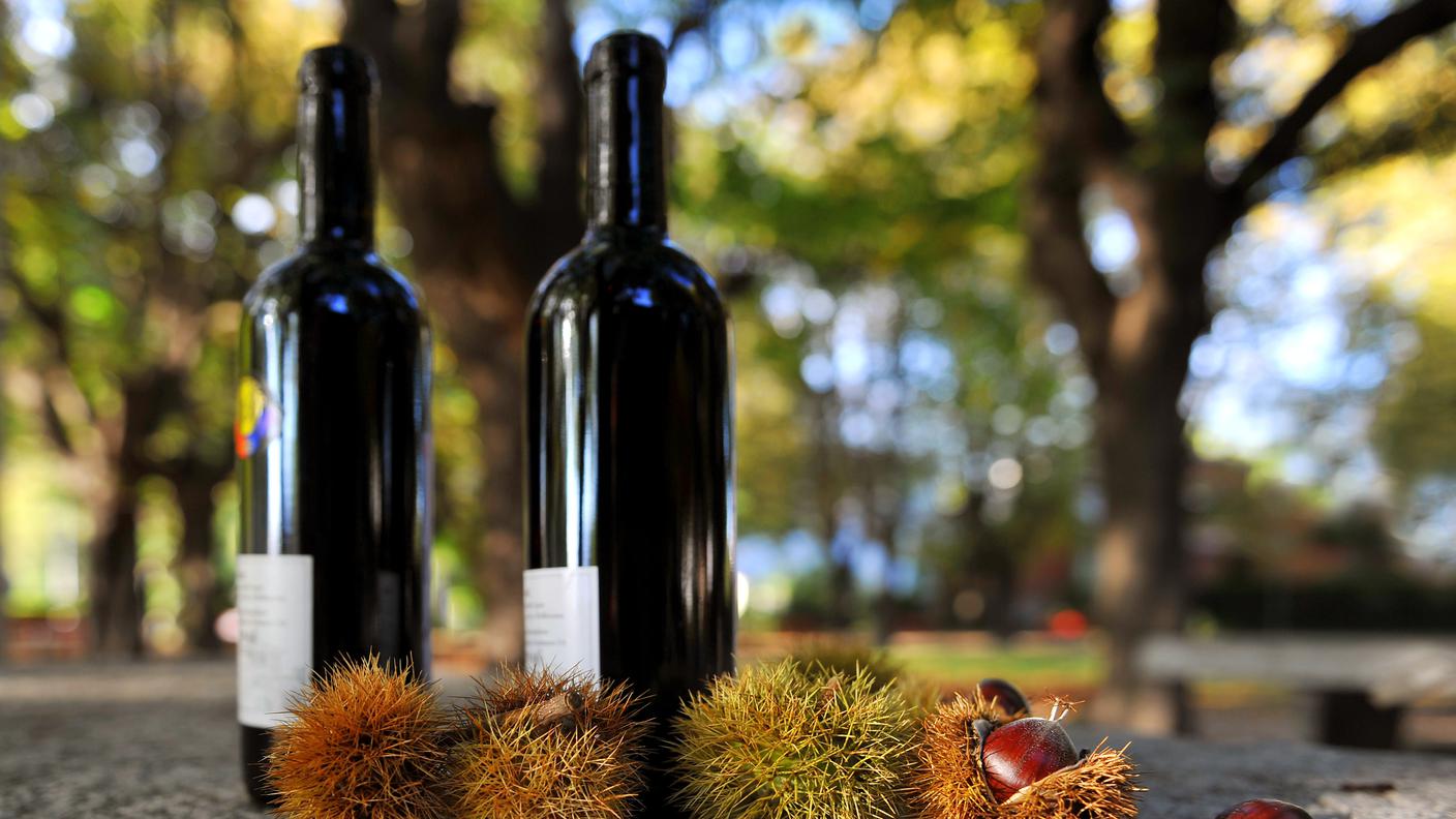 Due bottiglie di vino ticinese