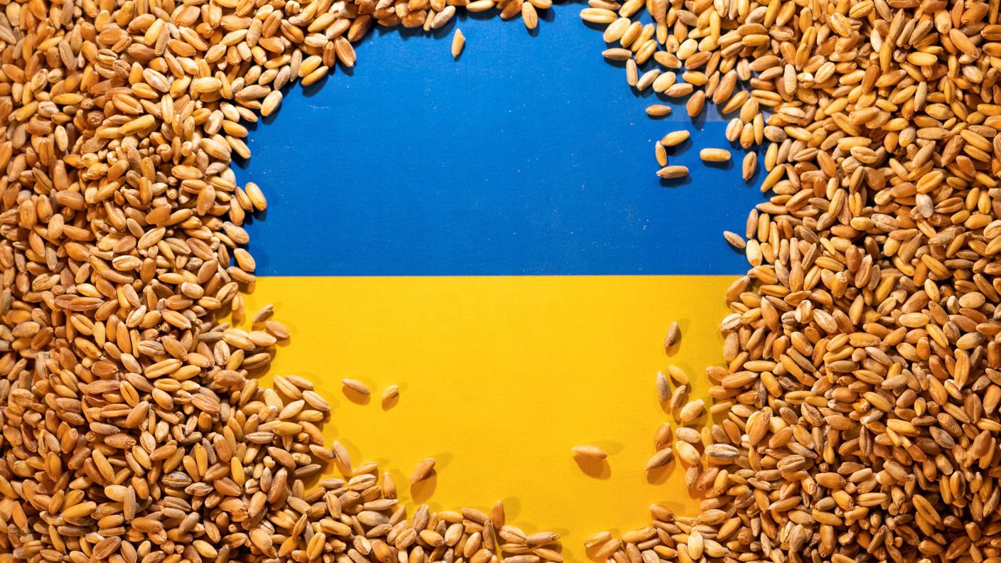 Al centro della questione, i grandi quantitativi di grano ucraino, più economico rispetto a quello prodotto nell'UE