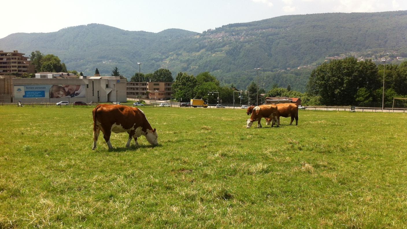 foto6.JPG