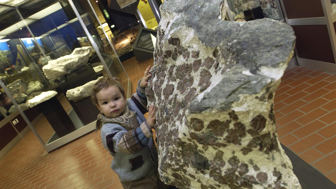 Lugano vuole mantenere il Museo di storia naturale che ospita dal 1853