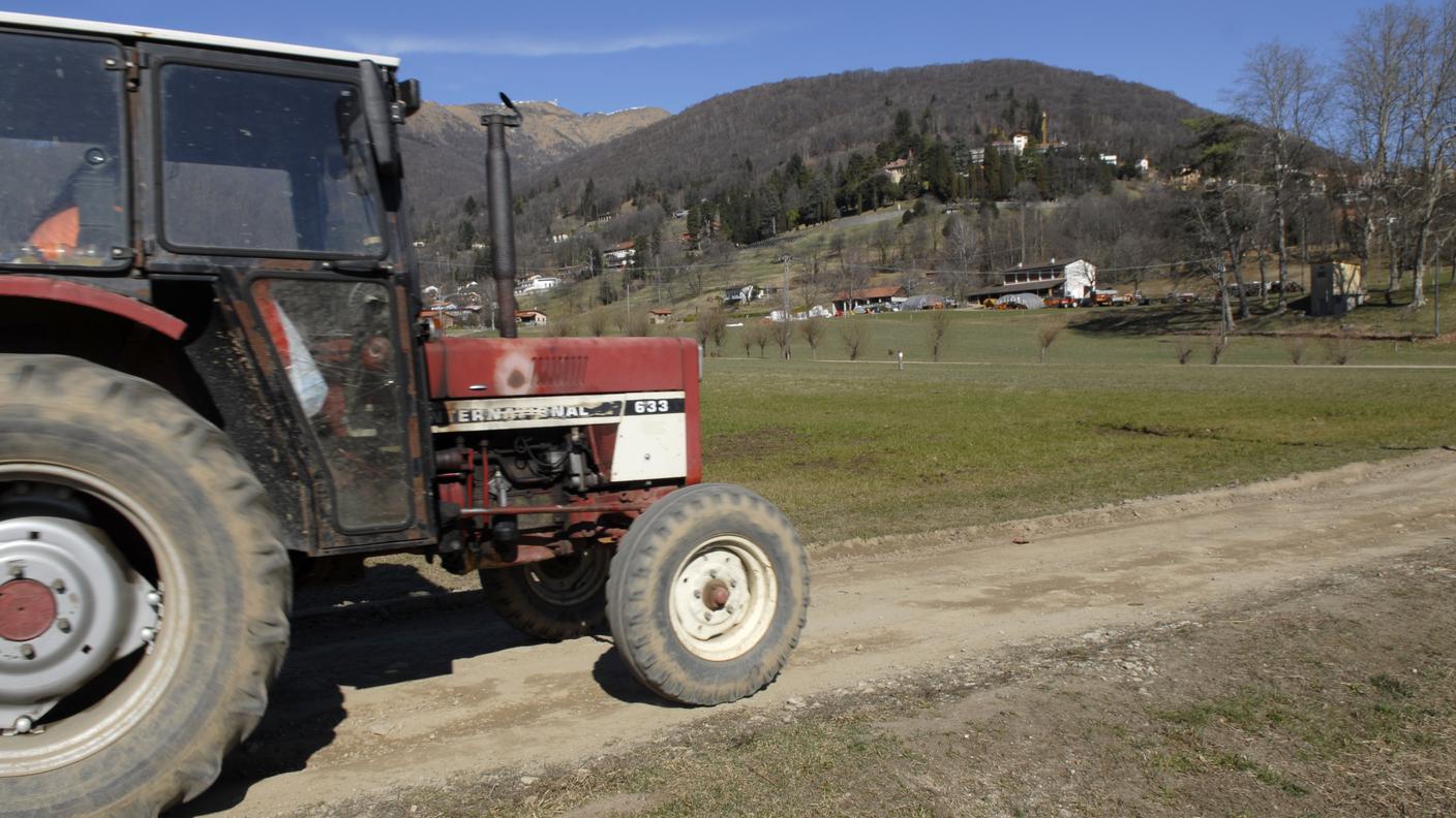 Alle aziende agricole ticinesi non mancheranno gli apprendisti