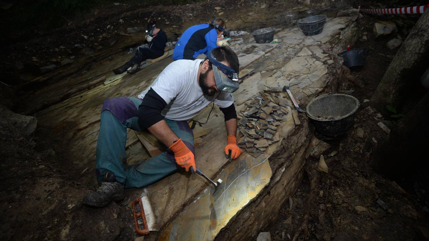 Paleontologici al lavoro