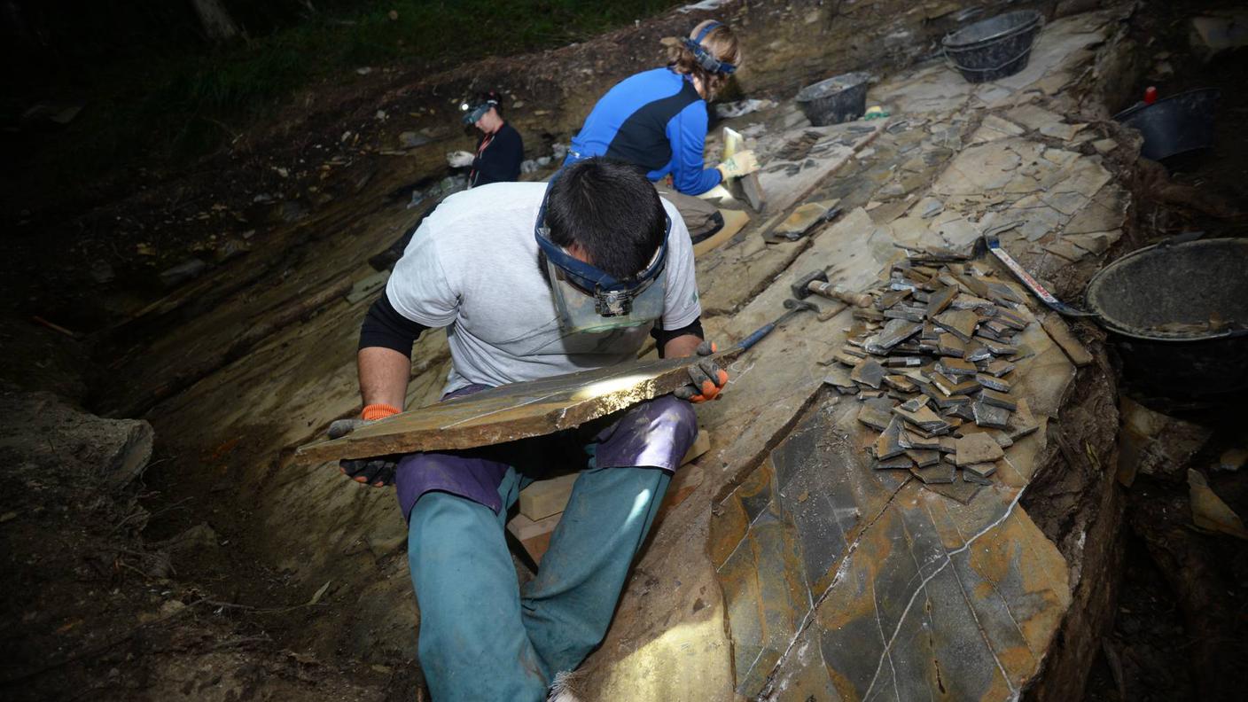 Paleontologici al lavoro