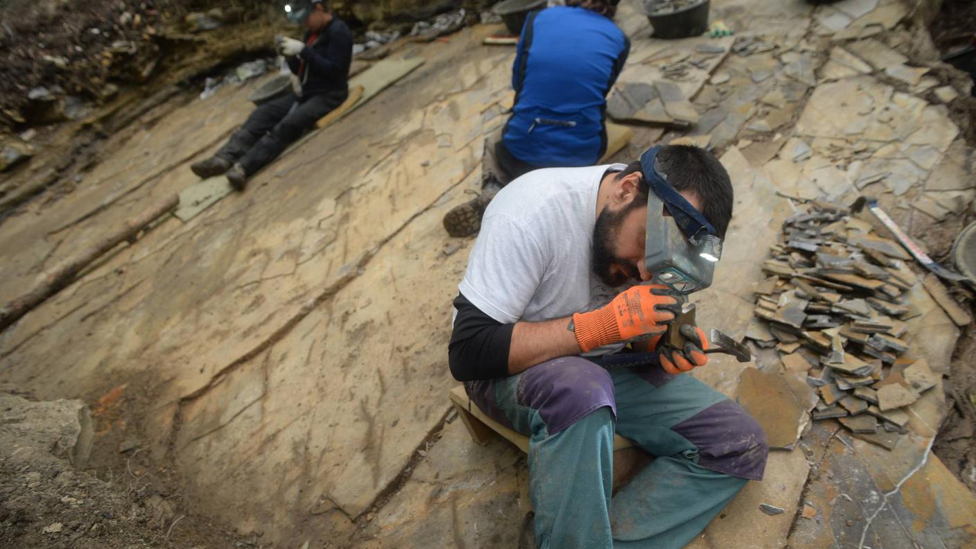 Paleontologici al lavoro