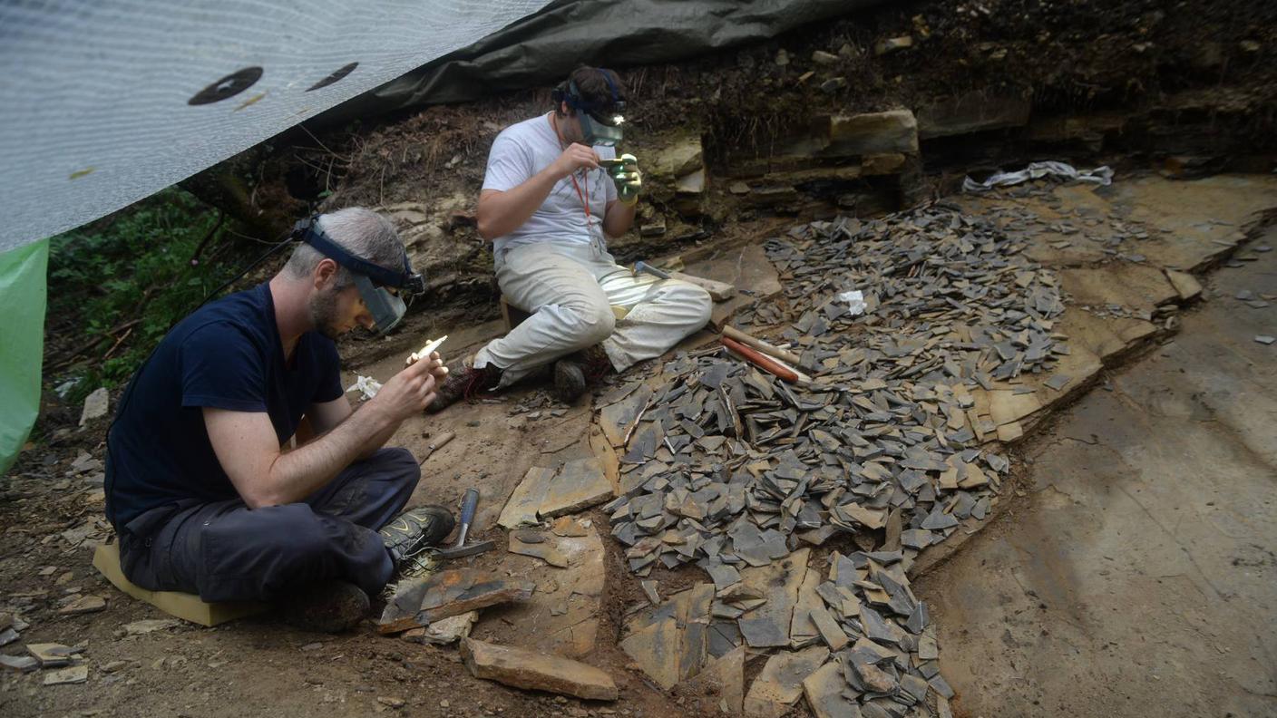 Paleontologici al lavoro