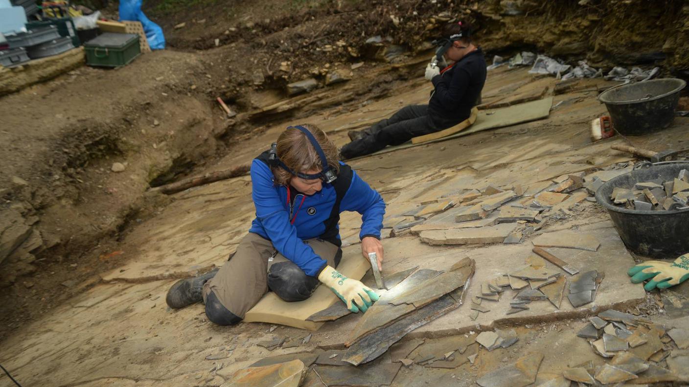 Paleontologici al lavoro