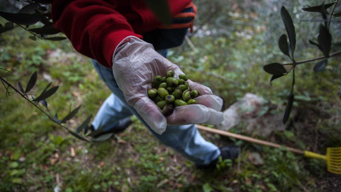 Volontari al lavoro