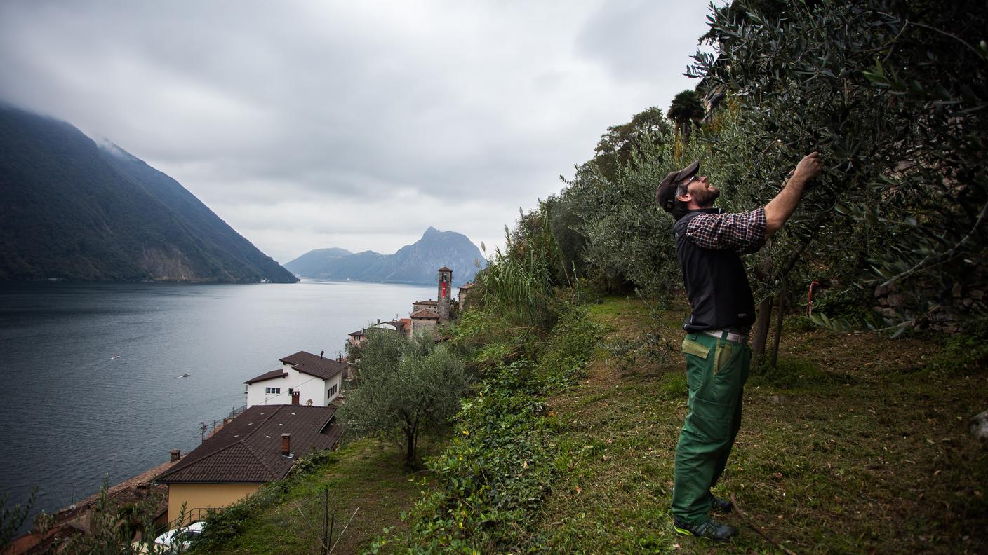 Volontari al lavoro