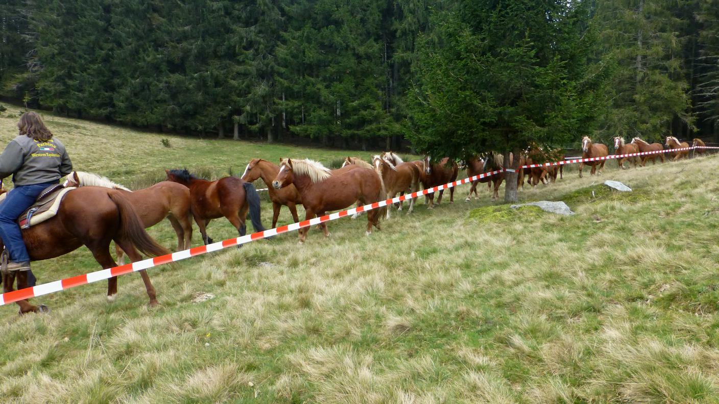 Le tappe della transumanza
