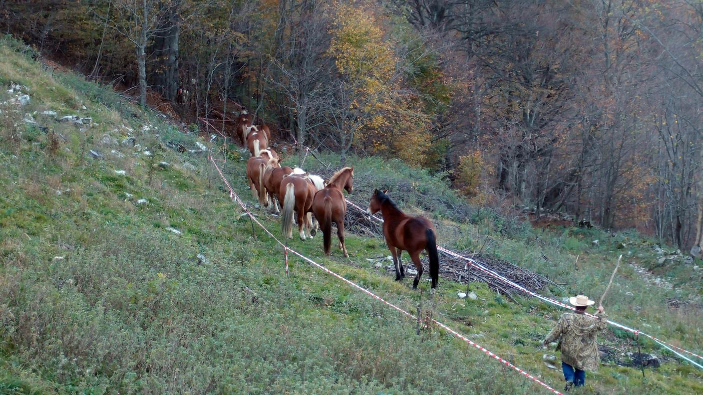 Le tappe della transumanza