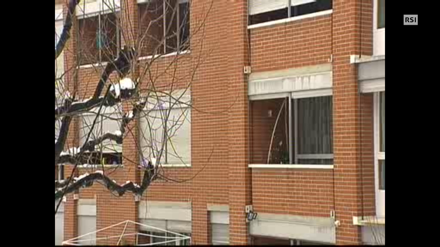 Alberi di Natale recuperati per... i pesci