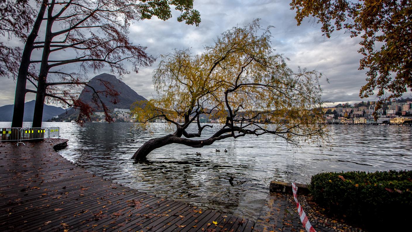 Lugano, foce del Cassarate