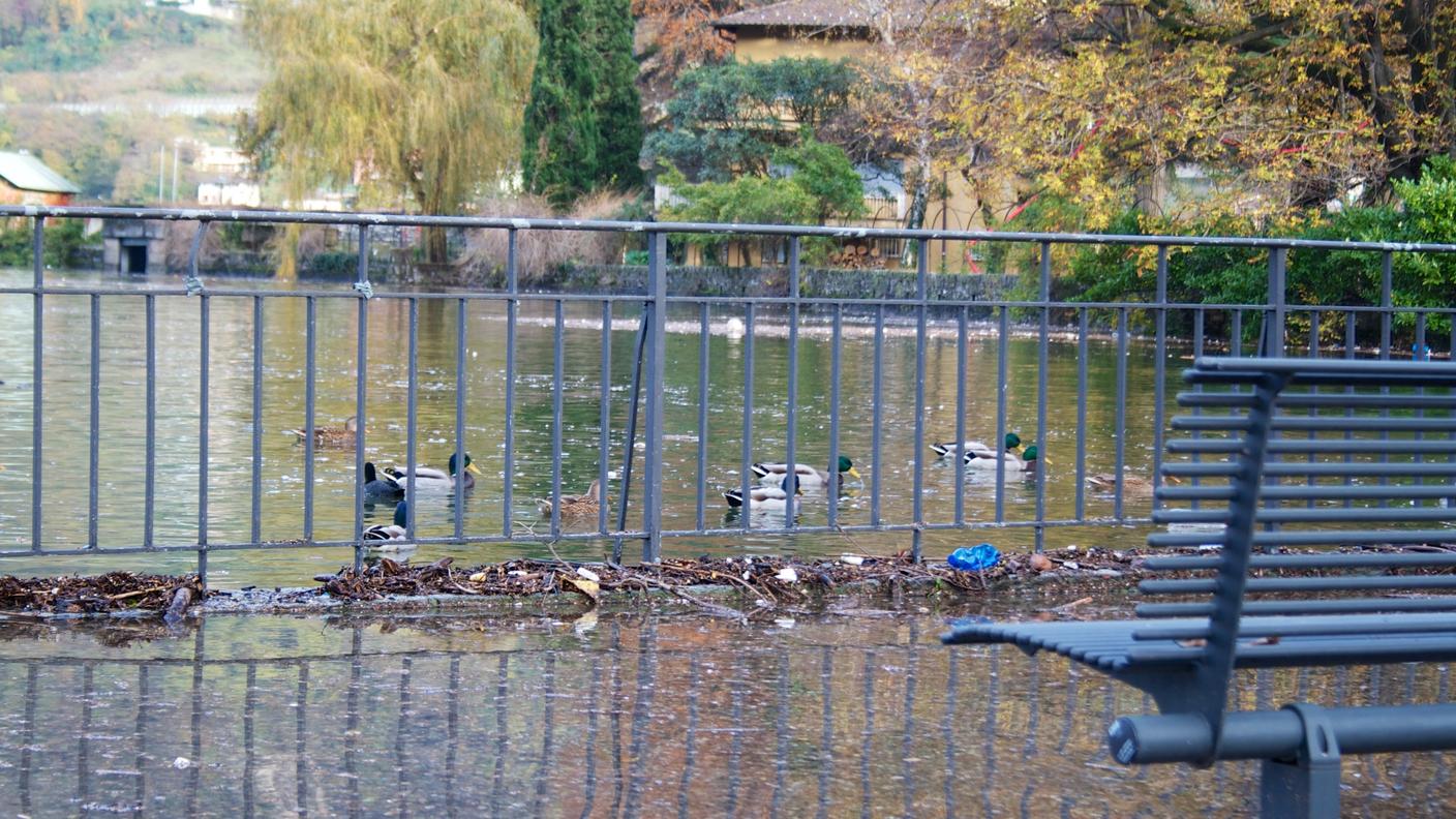 Lungolago sott'acqua a Riva San Vitale