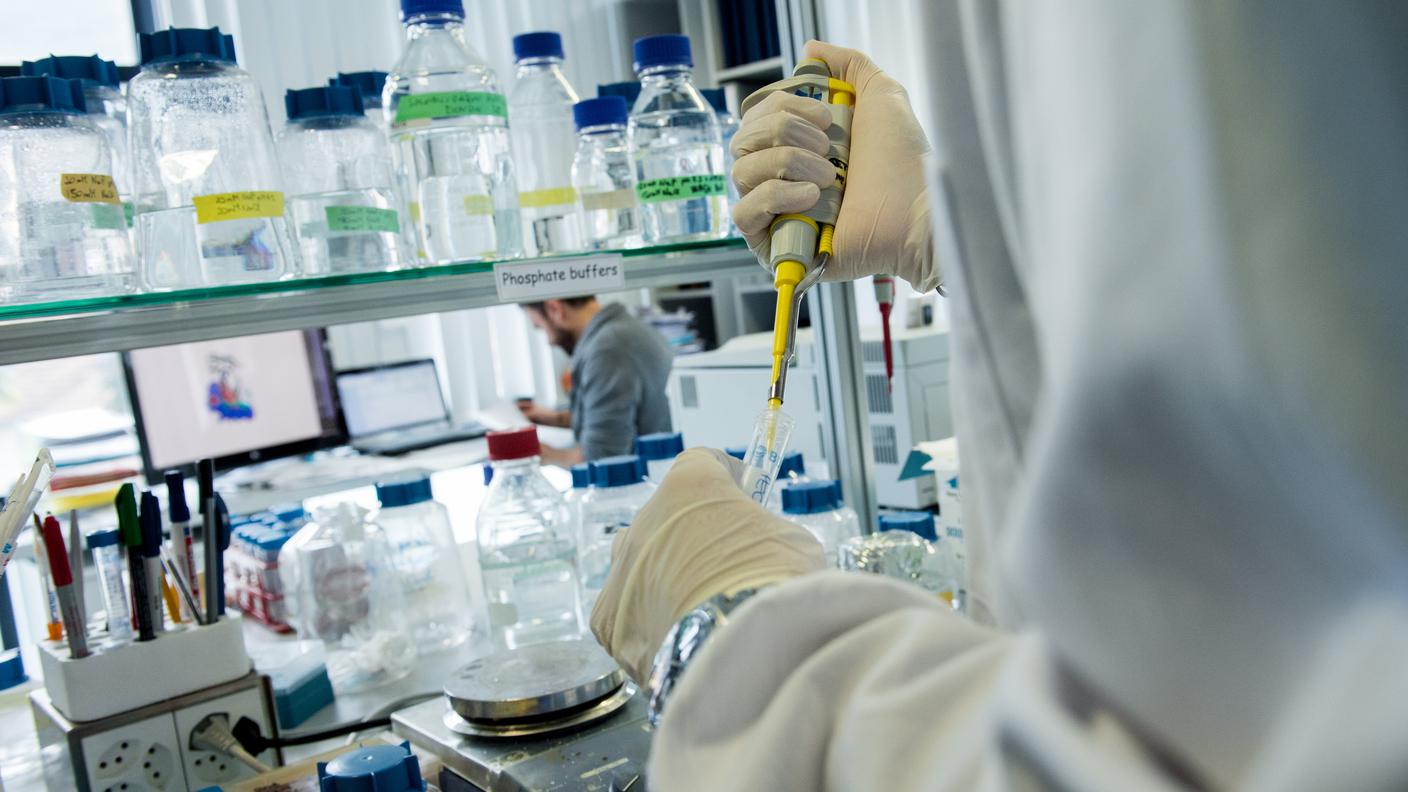 I ricercatori hanno decifrato il funzionamento dei linfociti T