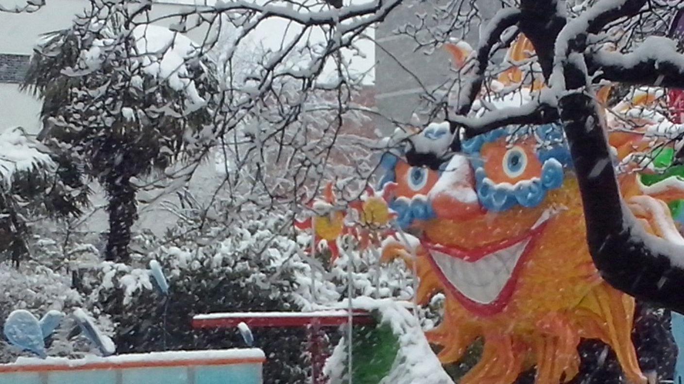 Rabadan 2015, colori dai carri giunti domenica mattina a Bellinzona