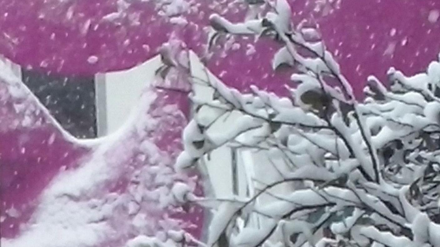 Rabadan 2015, colori dai carri giunti domenica mattina a Bellinzona