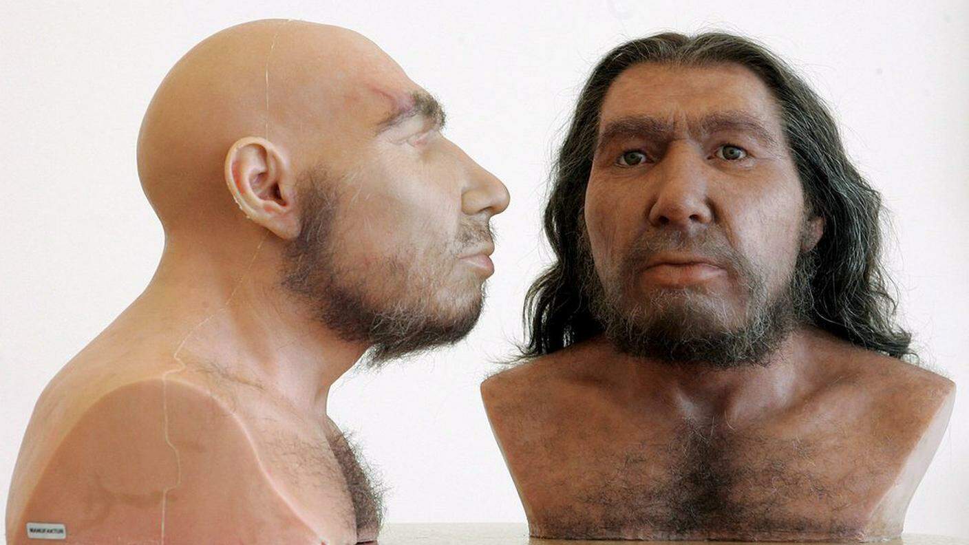 L'uomo di Neanderthal potrebbe essere presente in noi
