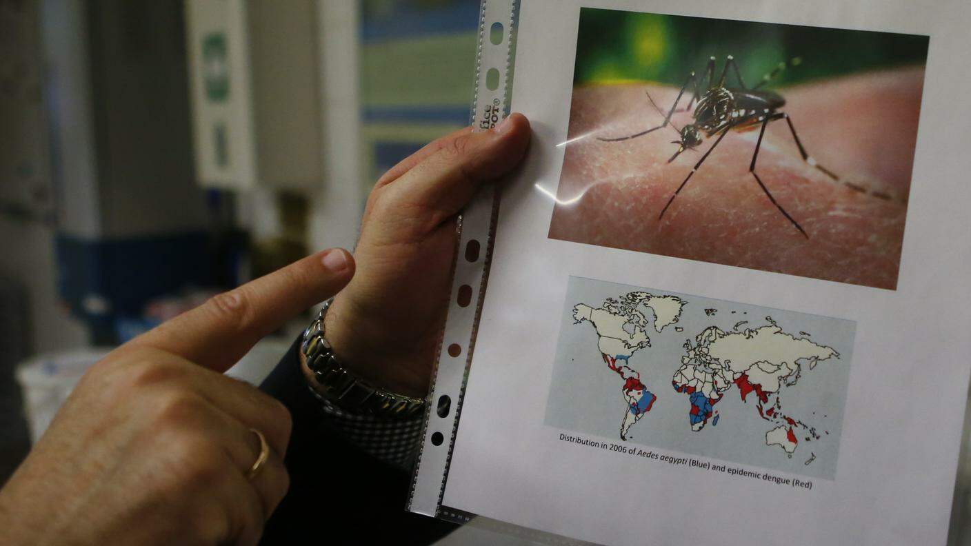 Uno scienziato mostra una dele zanzare responsabili della diffusione del virus