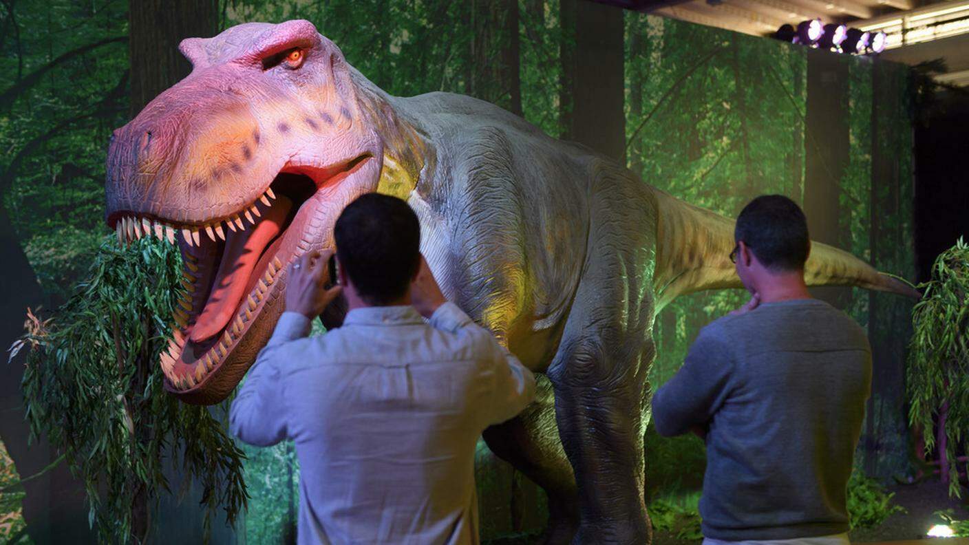 Visitatori conquistati dalla mostra "Le temps des Dinosaures"