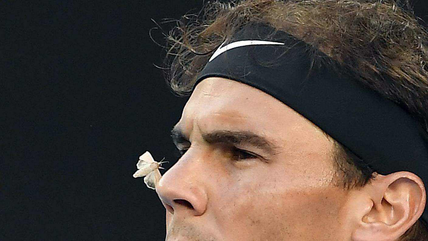 La falena attirata dal naso di... Rafael Nadal, durante i recenti Open d'Australia