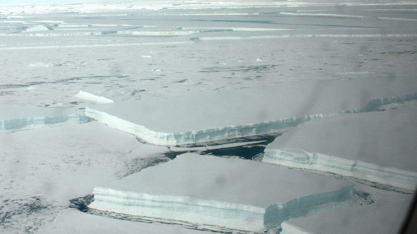 L'iceberg si è staccato nei giorni scorsi dalla barriera di ghiaccio Larsen C