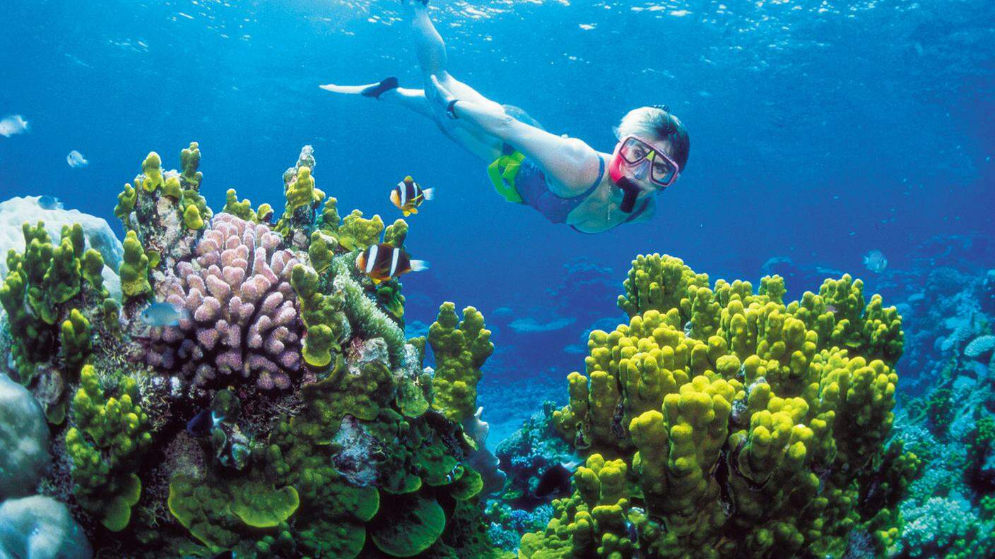 La Great barrier reef si estende per 348'000 km quadrati; è minacciata dai cambiamenti climatici