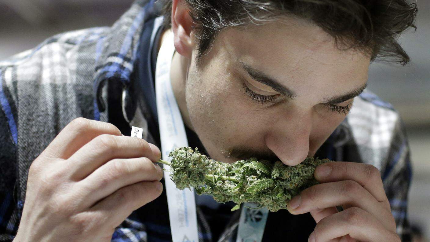 Una volta legalizzata la marijuana perde fascino