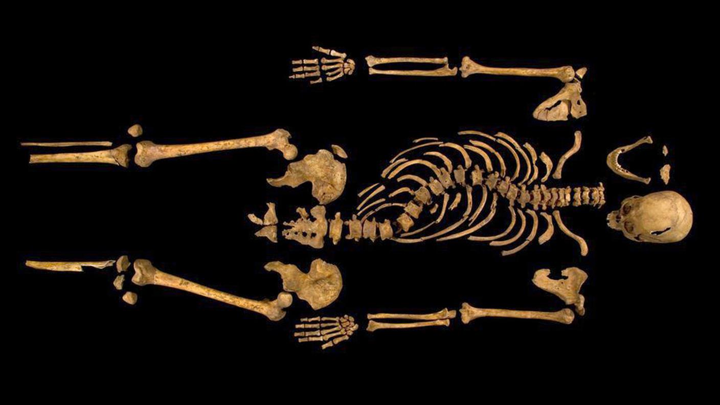 scheletro riccardo III ky.JPG