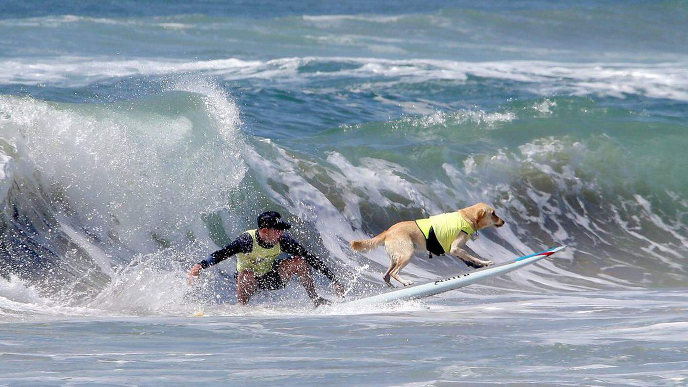 Let's surf