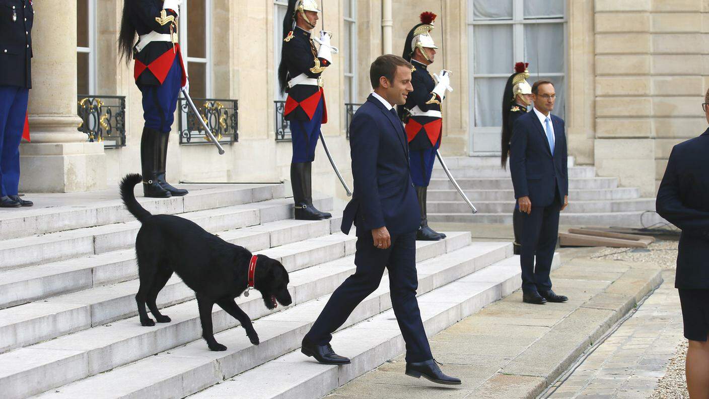 Anche Nemo fa gli onori di casa seguendo il presidente Macron