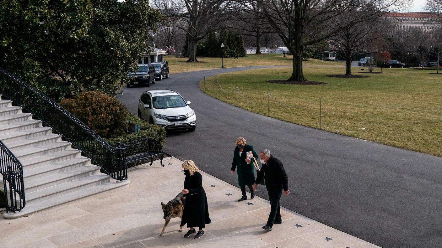 L'arrivo della first lady alla casa Bianca con Champ lo scorso gennaio