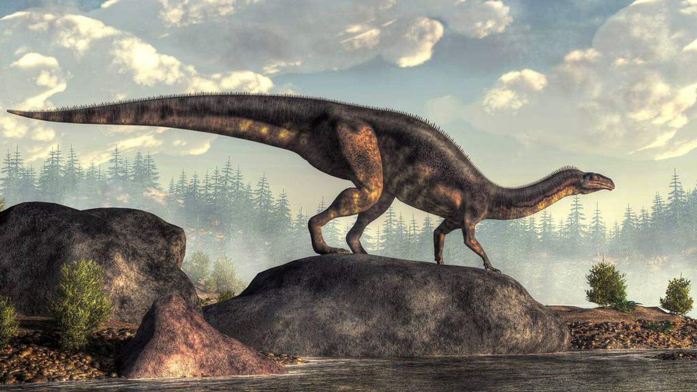 Le ossa del plateosauro sono ora esposte nel Sauriermuseum (Museo dei Dinosauri) a Frick