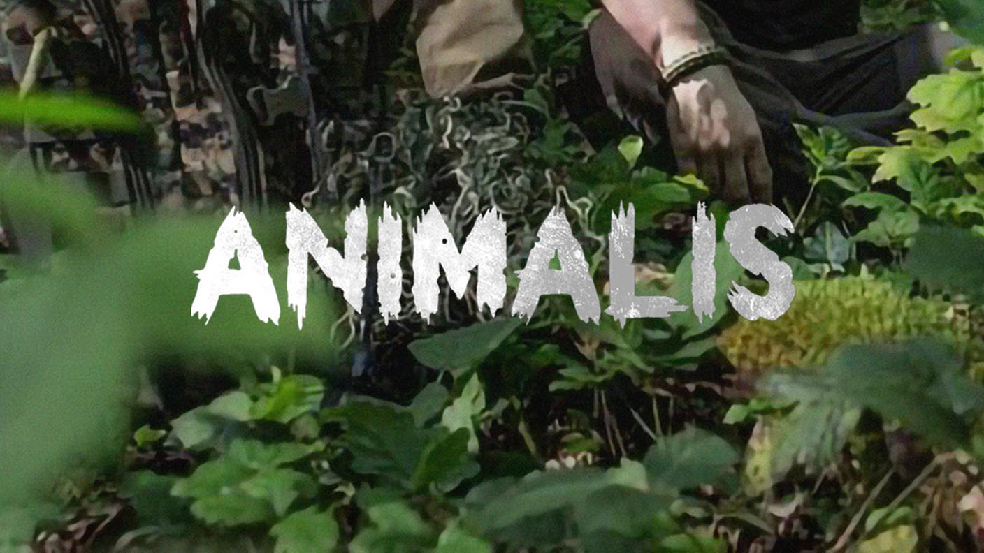 cover_rsi_play_2-3_animalis.jpg