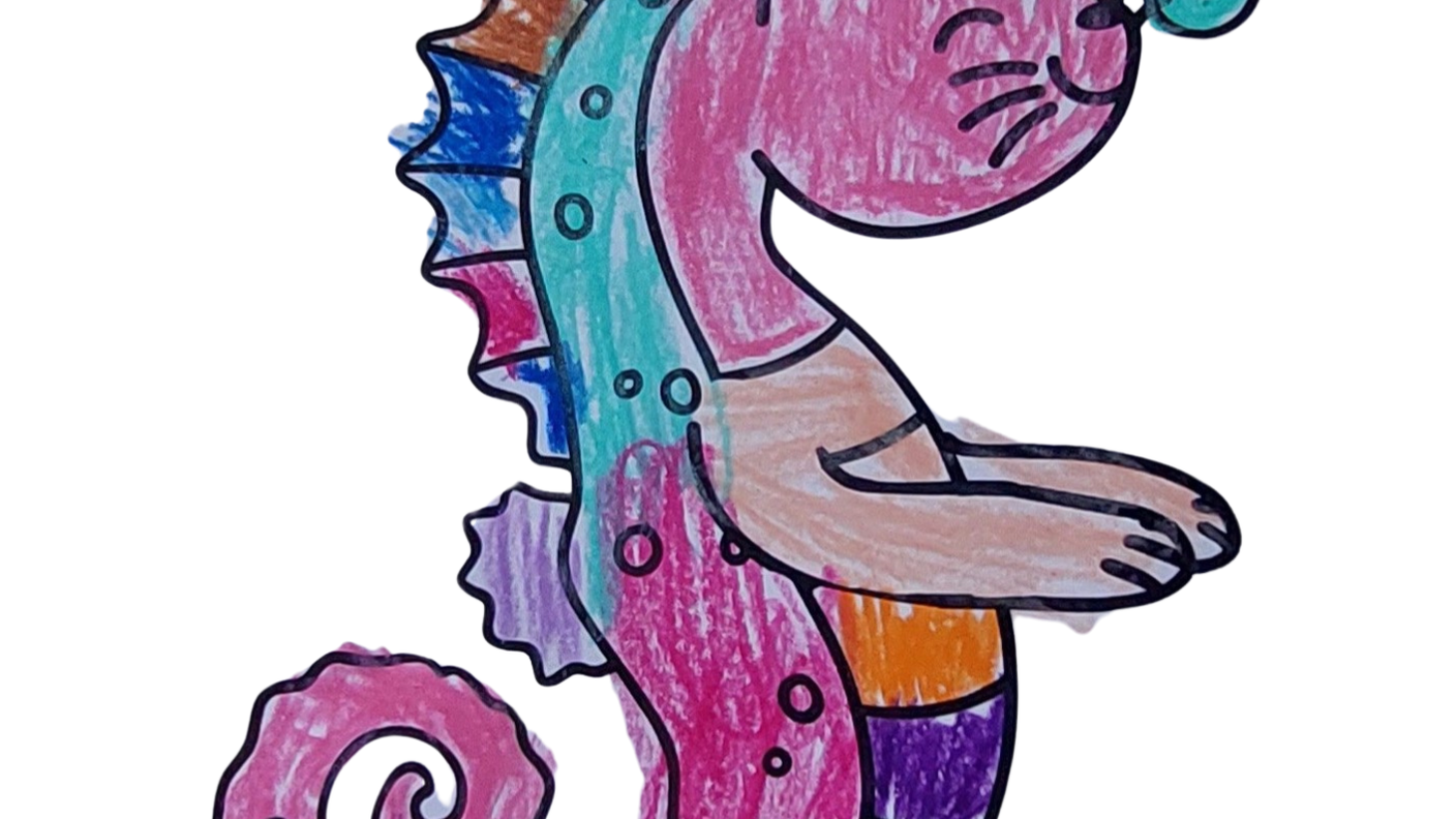 13.png