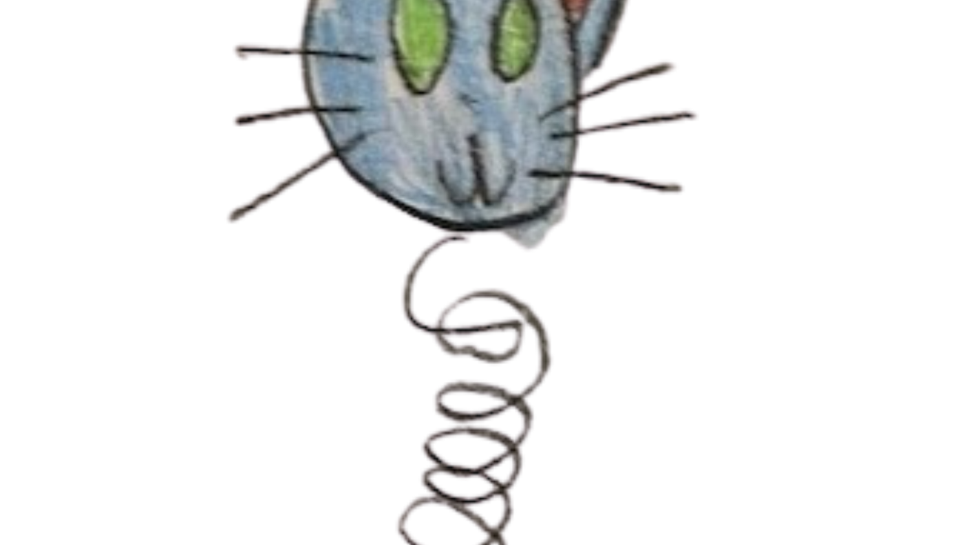 15.png