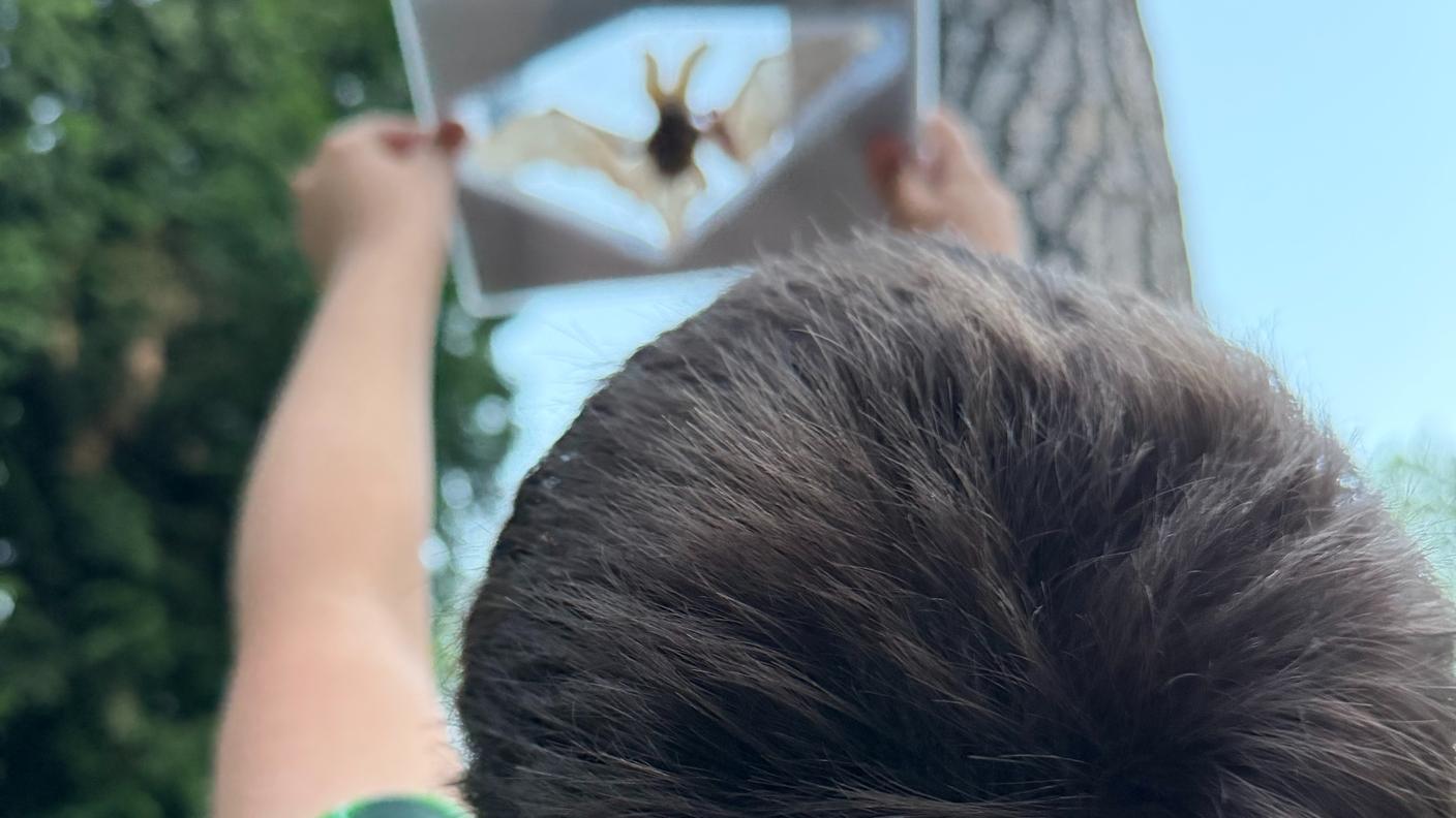 IMG_1009.jpeg
