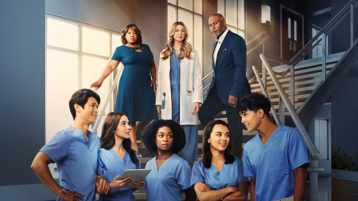 Grey's Anatomy 19