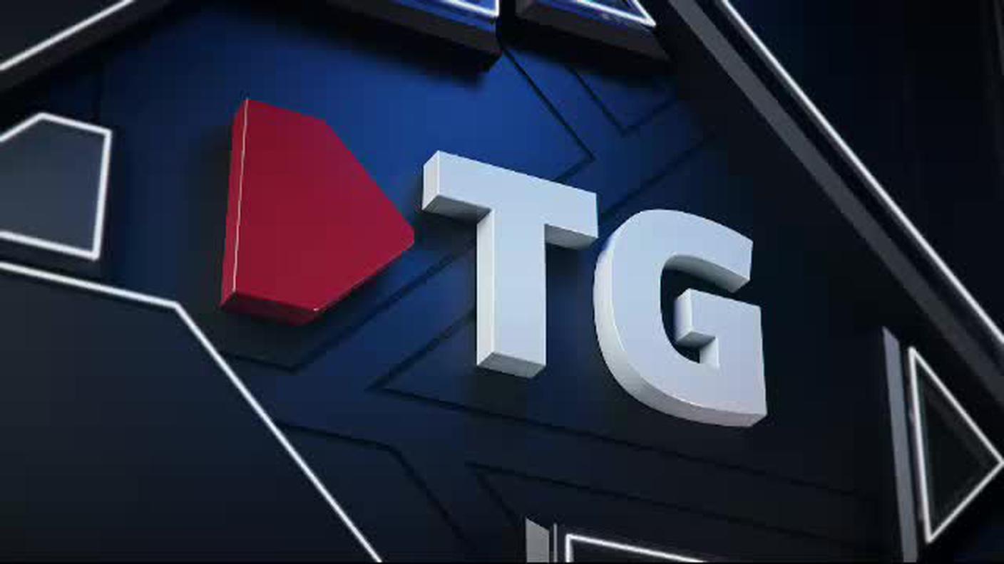 TELEGIORNALE FLASH 16:00  [La1] 2019-01-29 16:00:00
