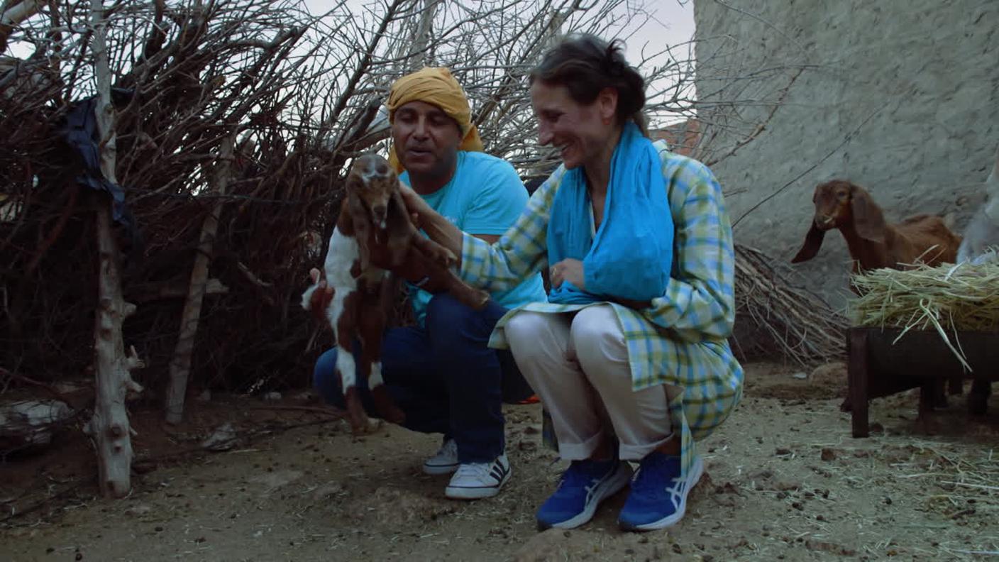 5000_96f88a107a7c387f0b111c20dc54604e