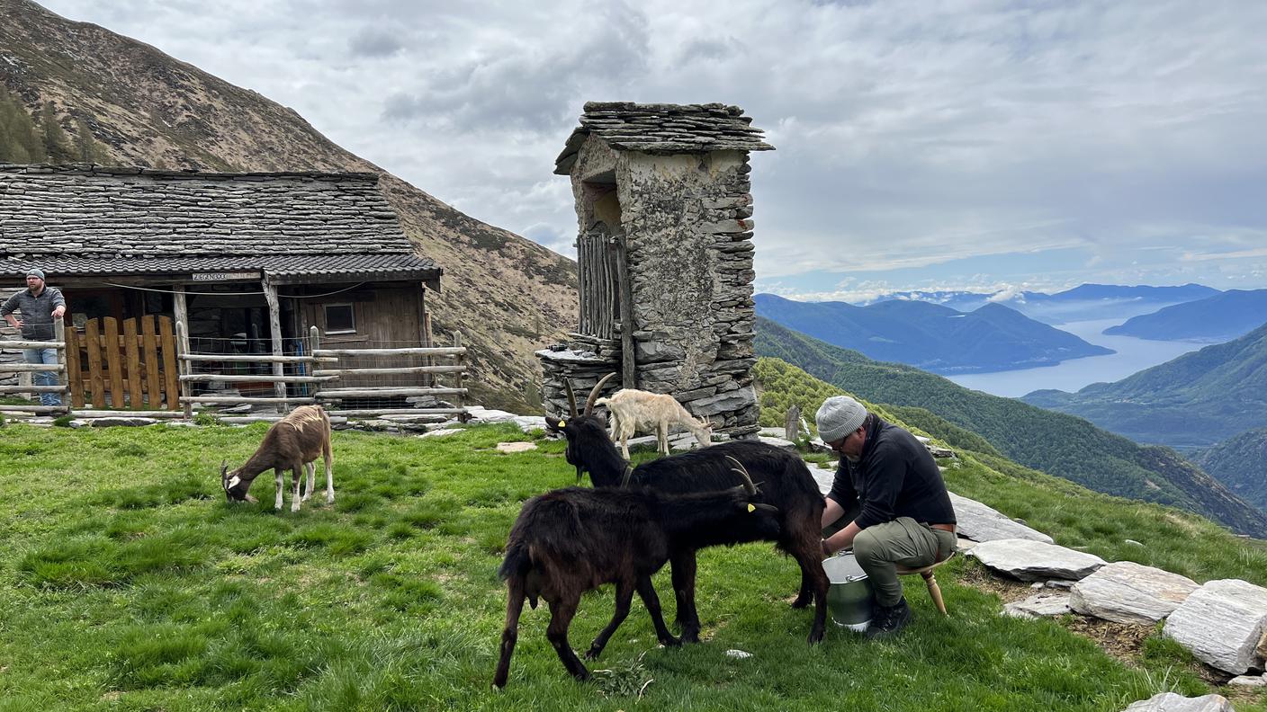 Capanne alpine