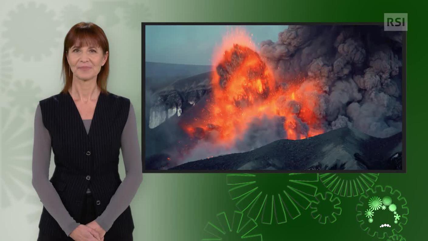 Giancarla Calitri, interprete lingua dei segni
