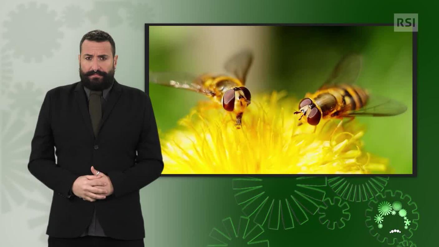 Luca Marra, interprete lingua dei segni