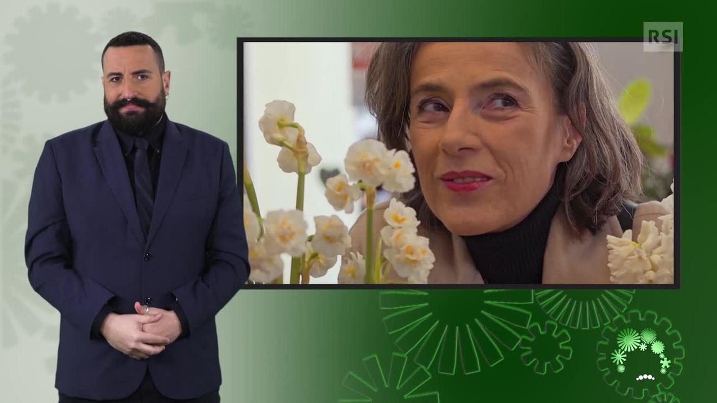Luca Marra, interprete lingua dei segni