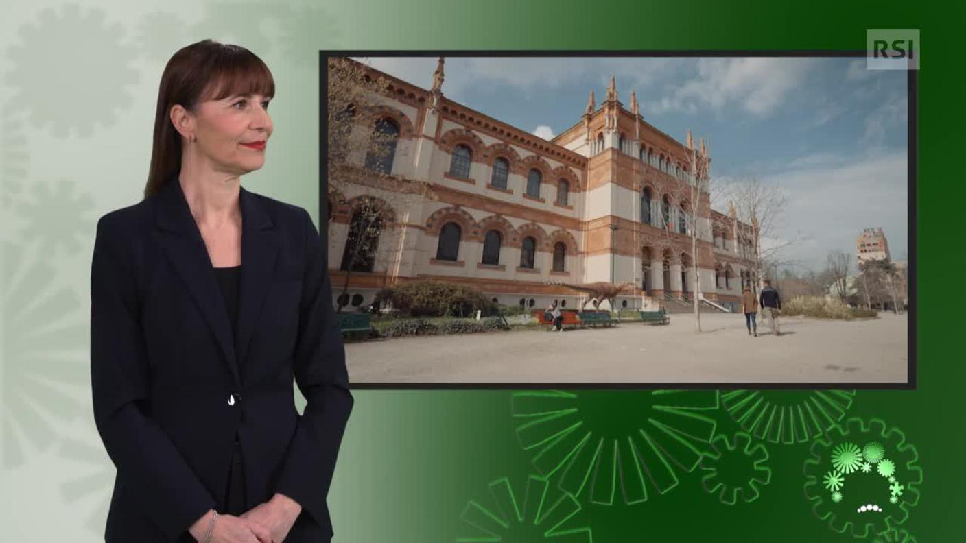 Giancarla Calitri, interprete LIS