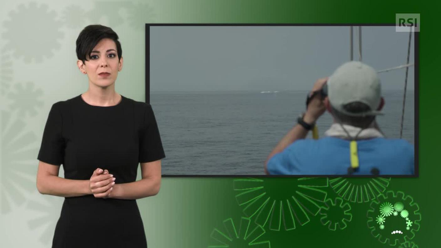 Sonia Serdonio, interprete lingua dei segni