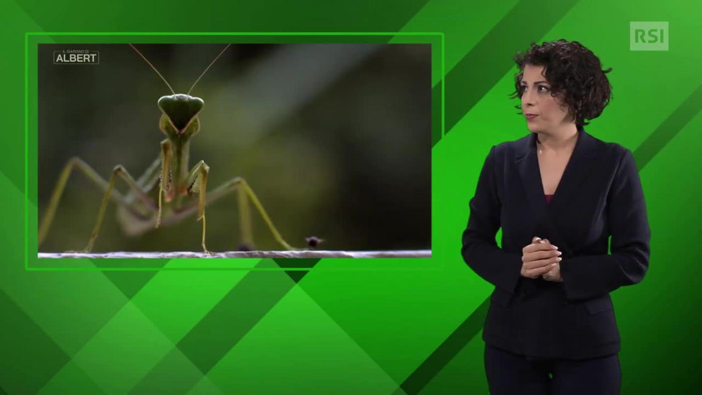Sonia Serdonio, interprete lingua dei segni