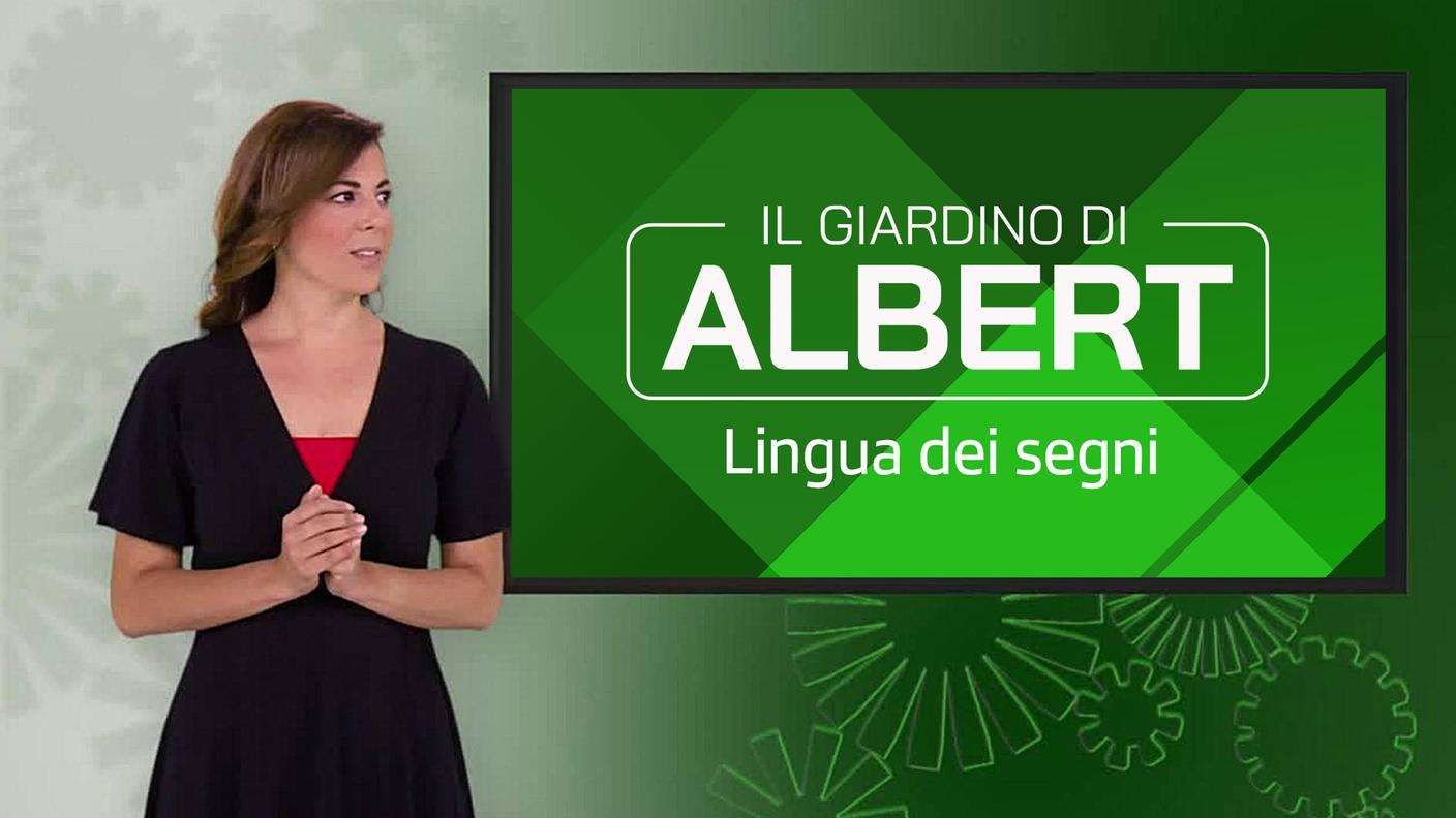 rsi_play-cover-il_giardino_di_albert_lis-16_9.jpg