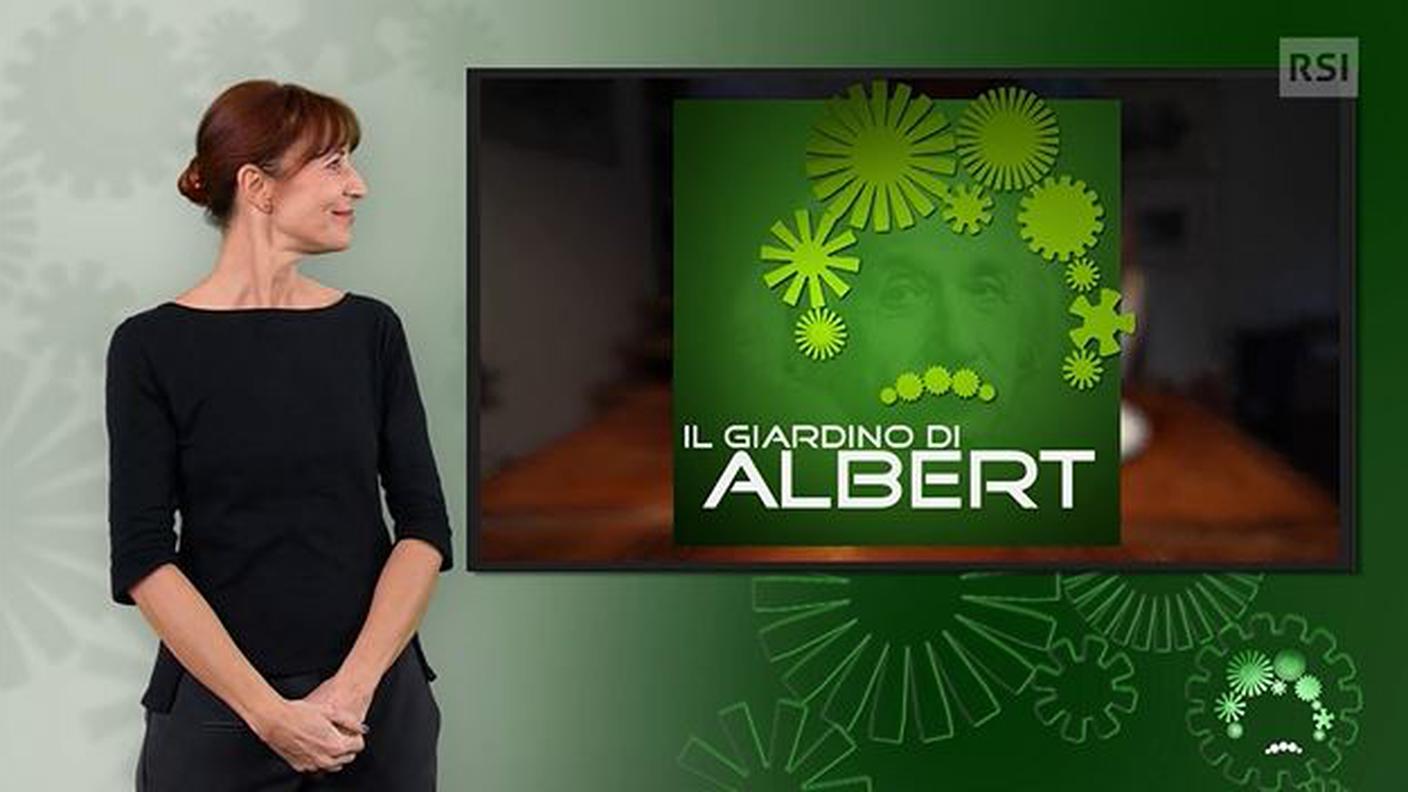 Giancarla Calitri, interprete lingua dei segni